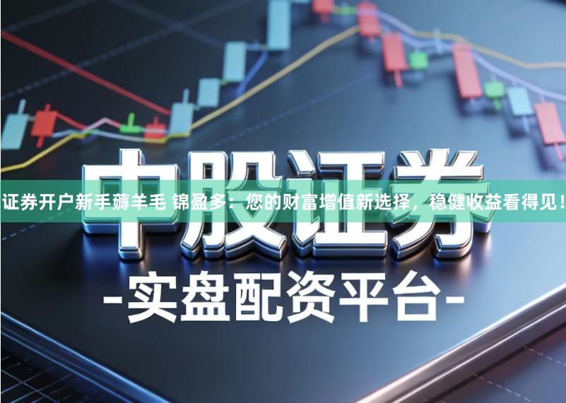 证券开户新手薅羊毛 锦盈多：您的财富增值新选择，稳健收益看得见！
