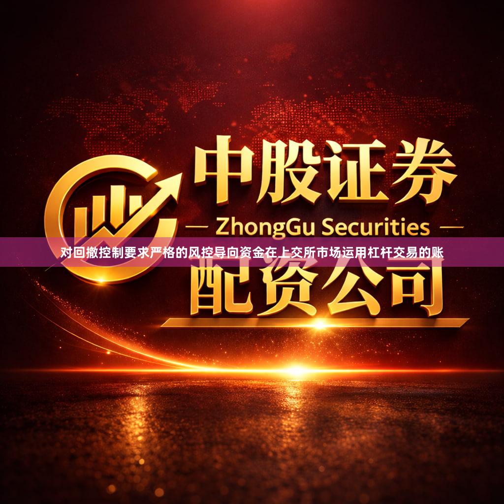 对回撤控制要求严格的风控导向资金在上交所市场运用杠杆交易的账