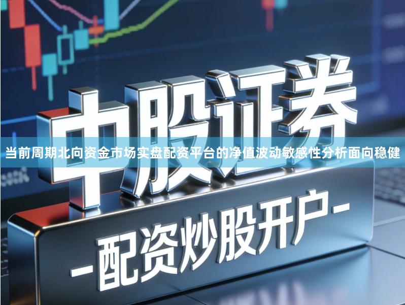 当前周期北向资金市场实盘配资平台的净值波动敏感性分析面向稳健