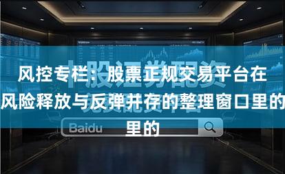 风控专栏：股票正规交易平台在风险释放与反弹并存的整理窗口里的