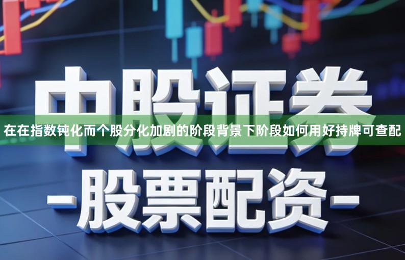 在在指数钝化而个股分化加剧的阶段背景下阶段如何用好持牌可查配