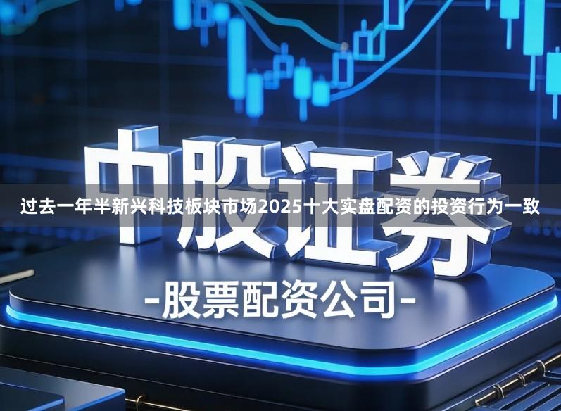 过去一年半新兴科技板块市场2025十大实盘配资的投资行为一致