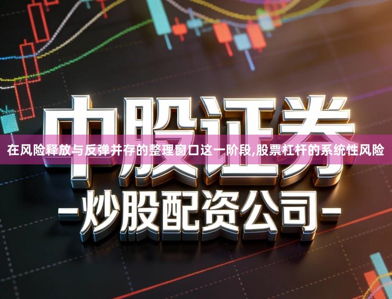 在风险释放与反弹并存的整理窗口这一阶段,股票杠杆的系统性风险