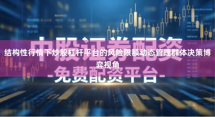 结构性行情下炒股杠杆平台的风险限额动态管理群体决策博弈视角