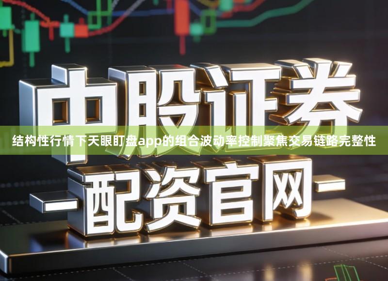 结构性行情下天眼盯盘app的组合波动率控制聚焦交易链路完整性