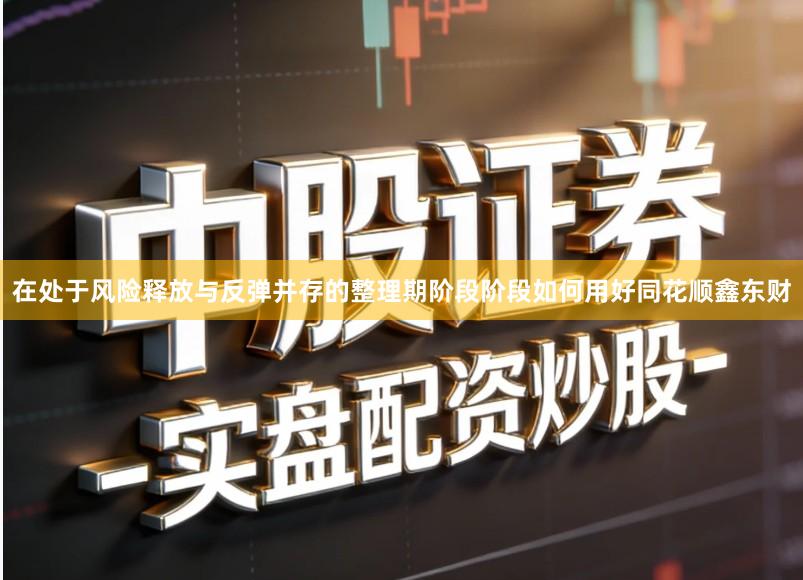在处于风险释放与反弹并存的整理期阶段阶段如何用好同花顺鑫东财